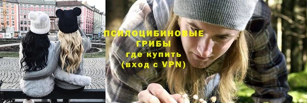 хмурый Майский