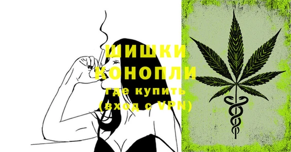 крисы Киров