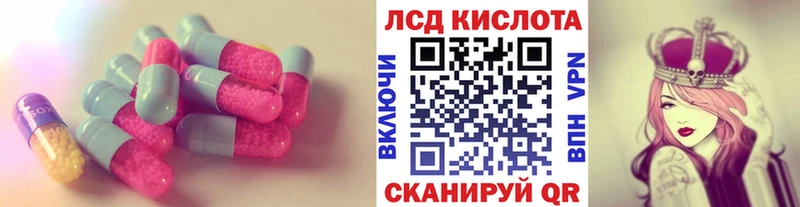 мега зеркало  где купить наркоту  Майкоп  ЛСД экстази ecstasy 