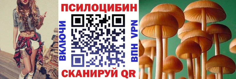 Галлюциногенные грибы Cubensis  Майкоп 