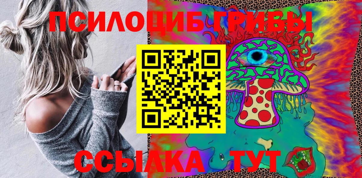 Галлюциногенные грибы прущие грибы Майкоп