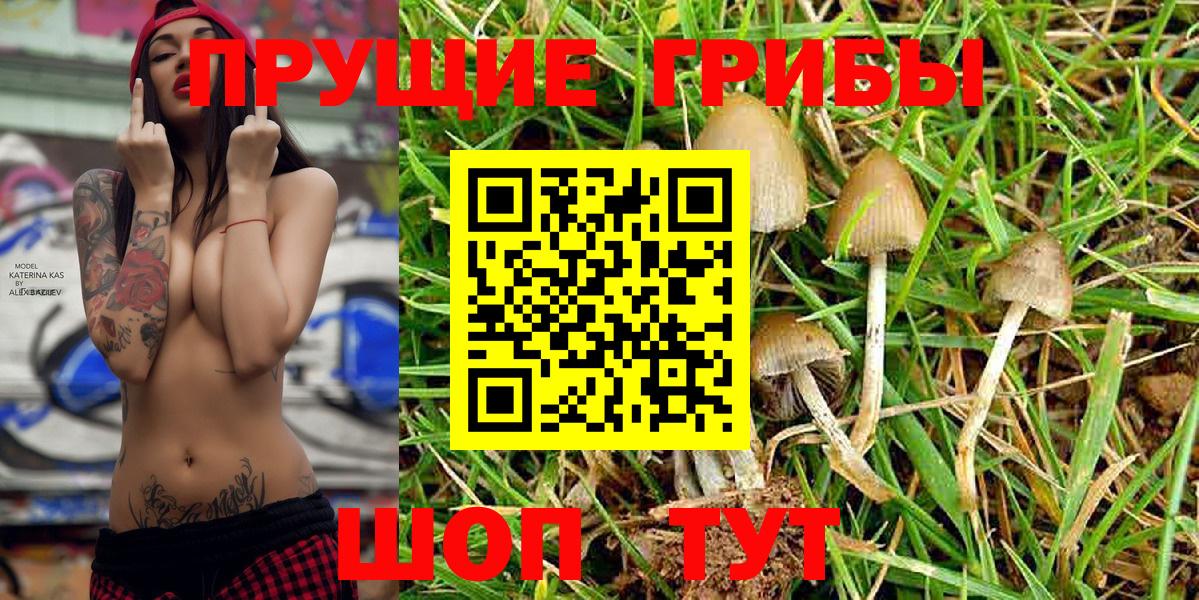 Галлюциногенные грибы Cubensis  Вход с VPN  Майкоп  Псилоцибиновые грибы MAGIC MUSHROOMS 